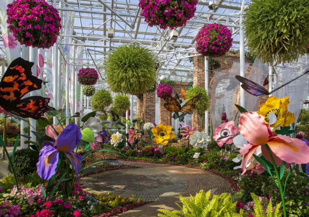Jardin fleurs