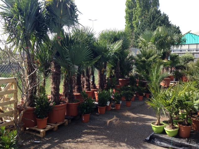 Jardin de fleurs
