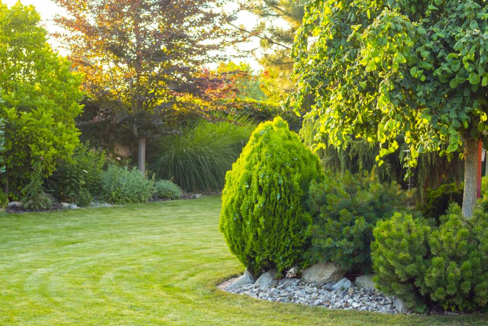 Jardinerie à Rosheim