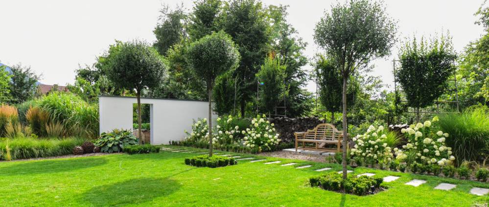 Plante extérieur à Rosheim
